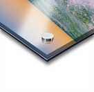 Ocean Spray Acrylic print