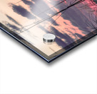 Morning Grass  Acrylic print