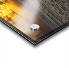 Golden Glow Acrylic print