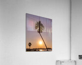 Sunset palms Acrylic Print