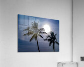 Sillouette Palms Acrylic Print