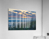 Grassy Sunrise Acrylic Print