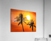 Red Palms Acrylic Print