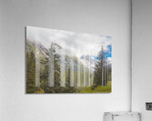 Through the Trees Acrylic Print