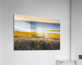 Calming bay Acrylic Print