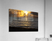 Golden Glow Acrylic Print