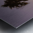 Sunset palms Metal print