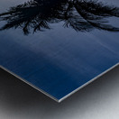 Sillouette Palms Metal print