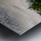 Grapevines Metal print