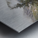 Through the Trees Metal print