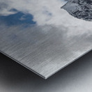 In the Clouds Metal print