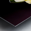 White Magnolia  Metal print