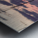 Morning Grass  Metal print