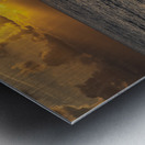 Golden Glow Metal print