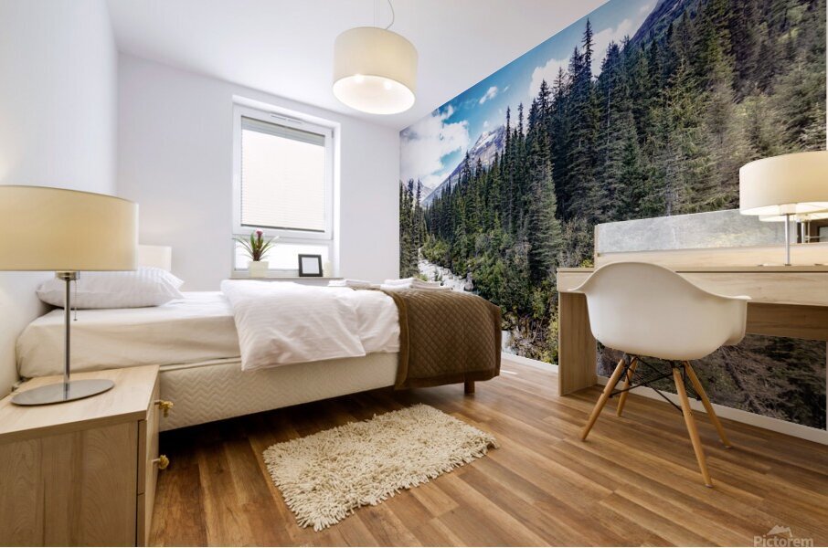 Skagway Rivers Mural print