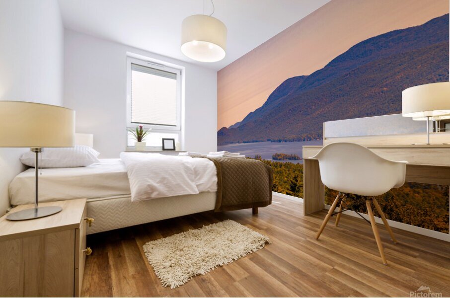 Adirondack Mountains Mural print