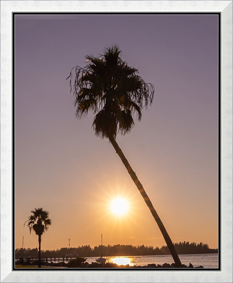 Sunset palms Picture Frame print