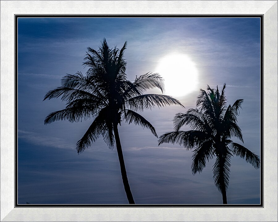 Sillouette Palms Picture Frame print