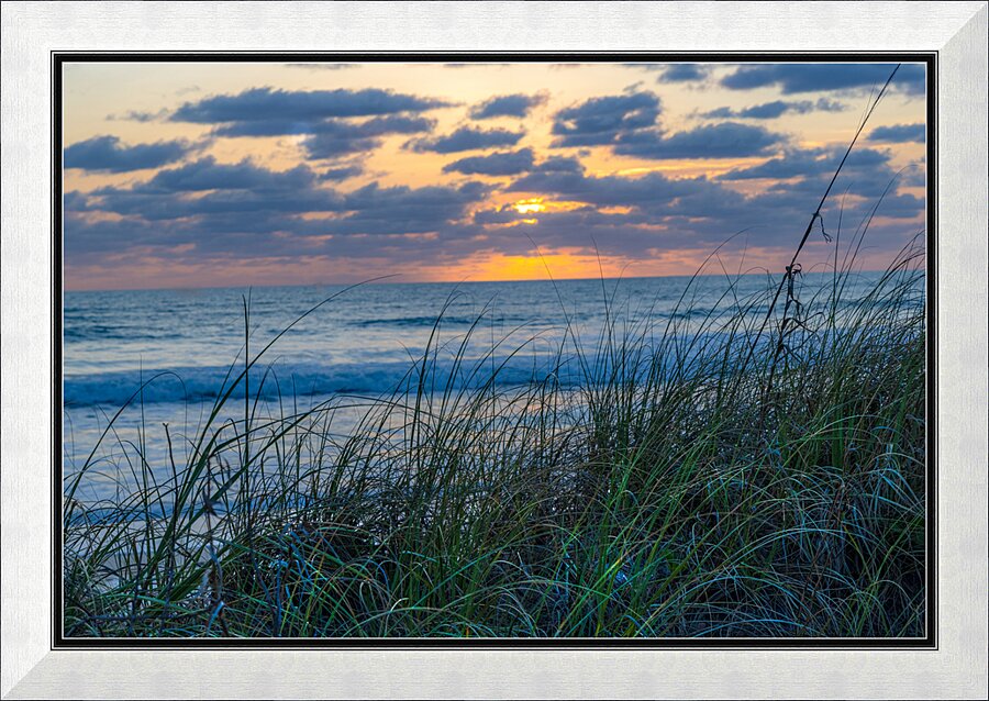 Grassy Sunrise Picture Frame print