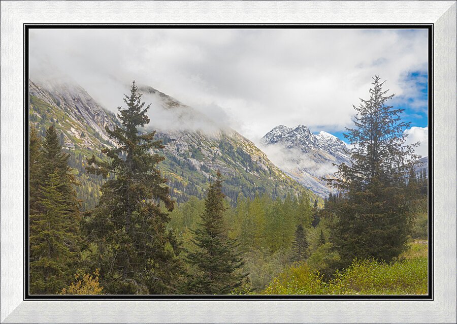Through the Trees Picture Frame print