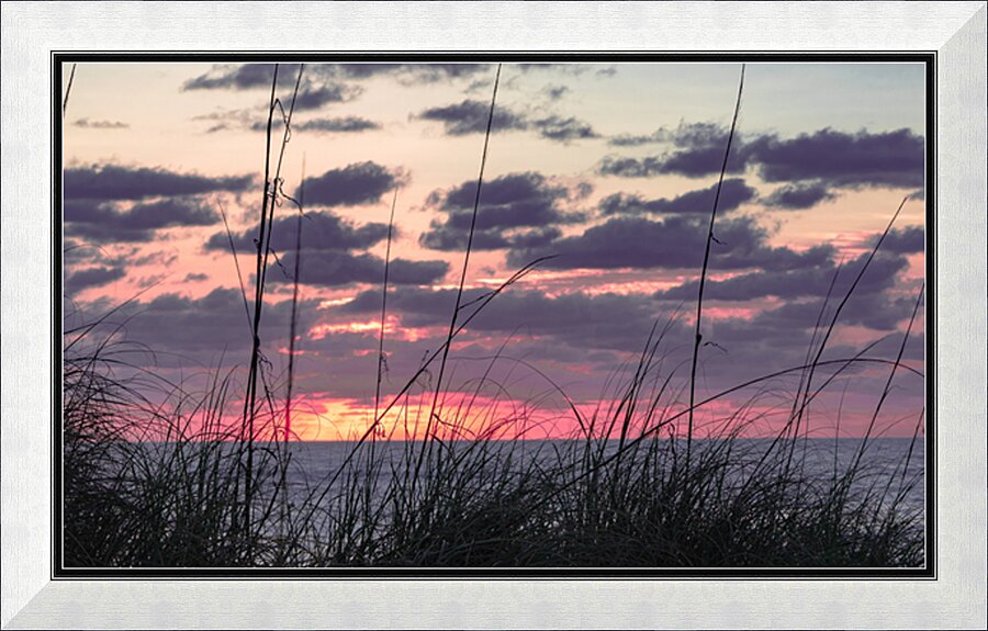 Morning Grass  Picture Frame print