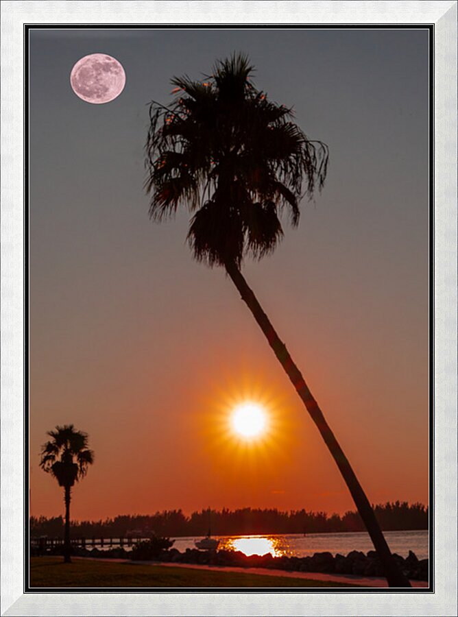Moon rise  Picture Frame print