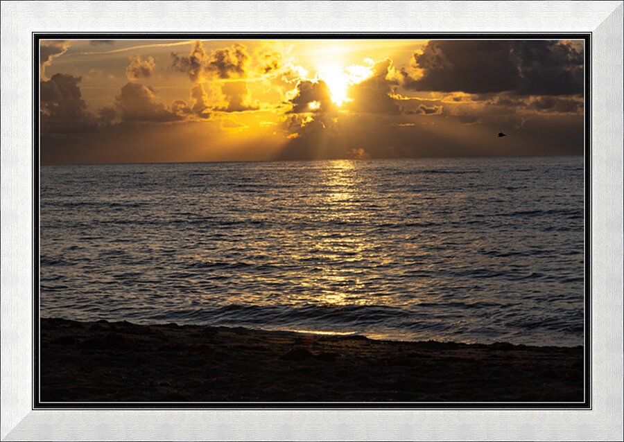 Golden Glow Picture Frame print