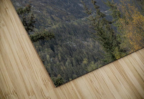 Alaska Landscape Ron Taibbi fine art Photography  puzzle