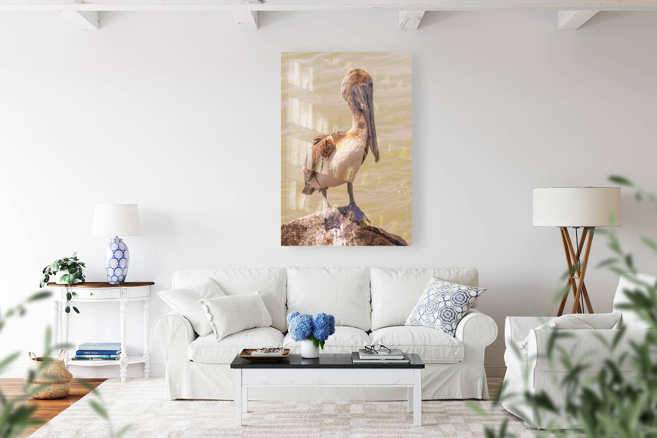 Pelican Day Reproduction