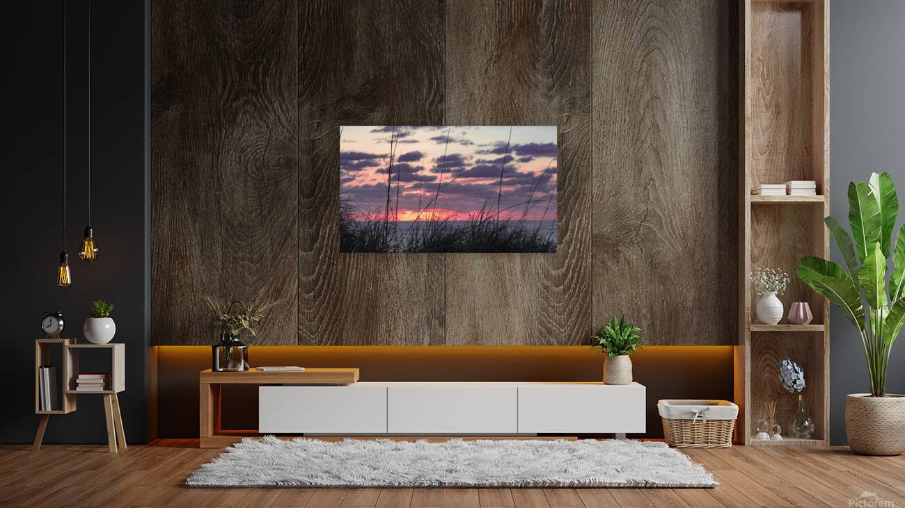 Morning Grass  Reproduction