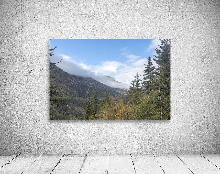 Alaska Landscape Wall Preview