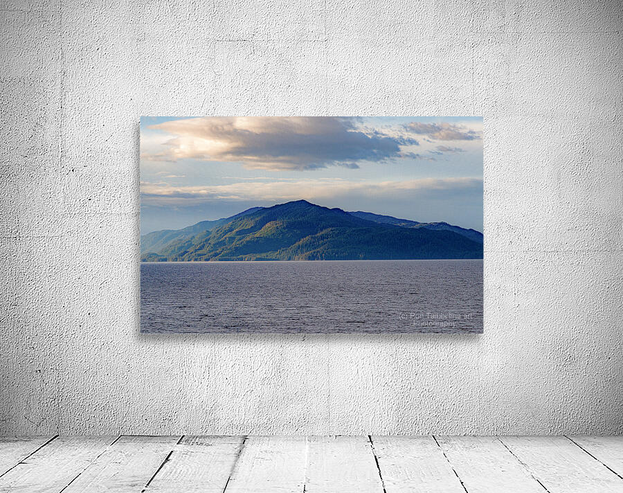 Alaska Mountain view Wall Preview