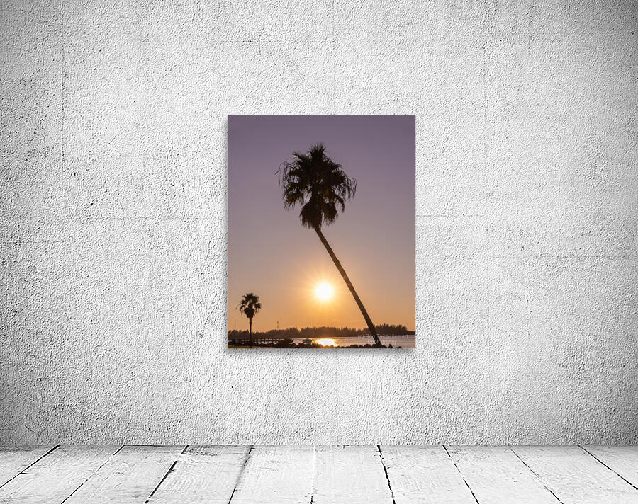 Sunset palms Wall Preview