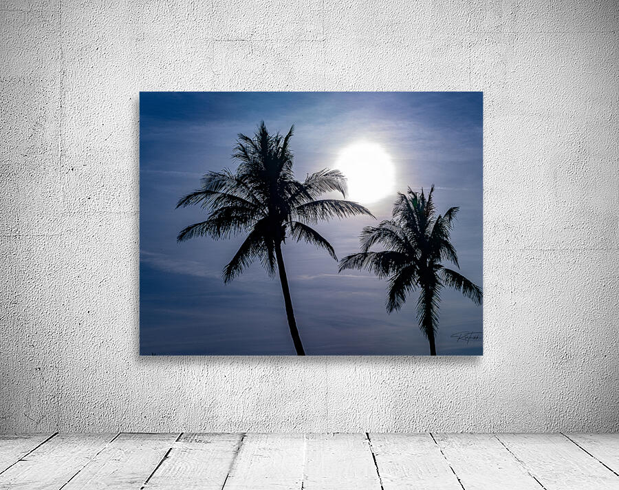 Sillouette Palms Wall Preview