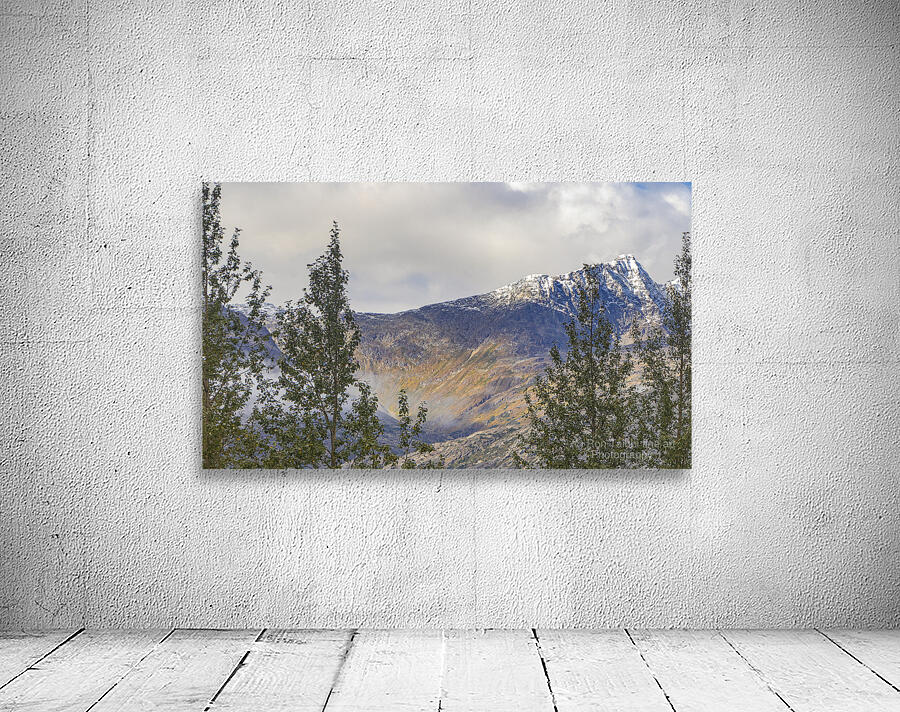 Distant Mountains  Wall Preview