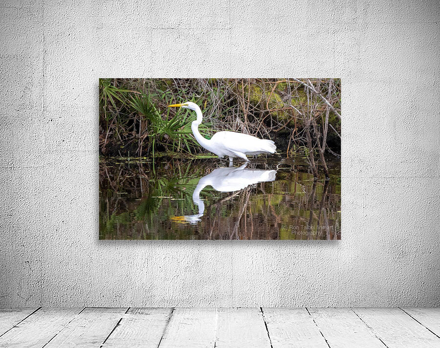 Great Egret  Wall Preview