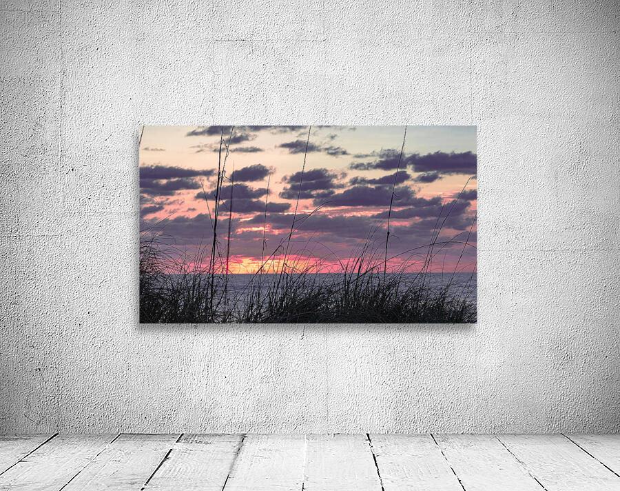 Morning Grass  Wall Preview