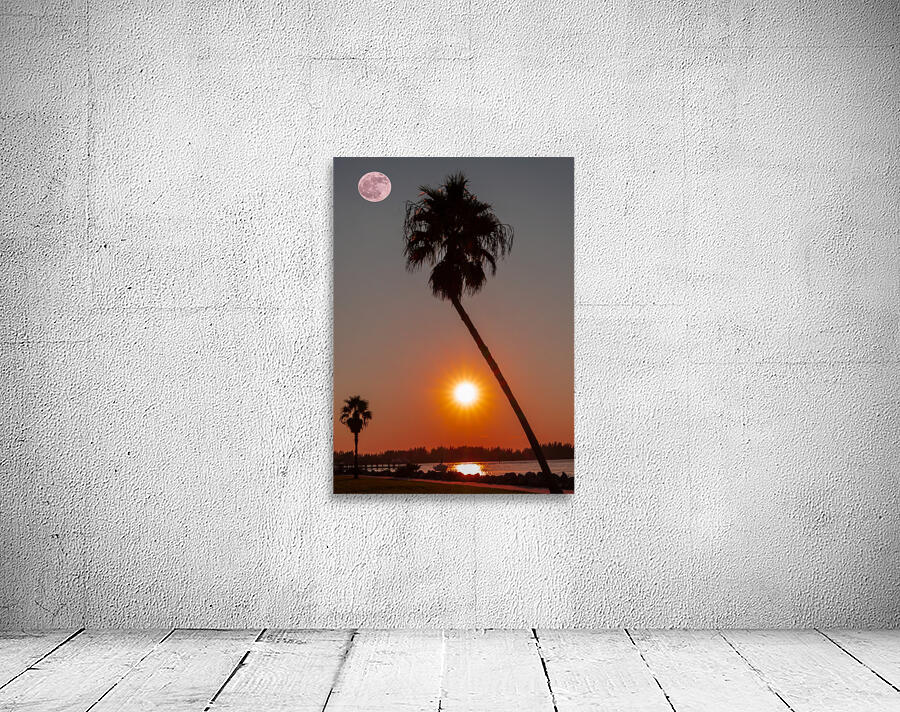 Moon rise  Wall Preview