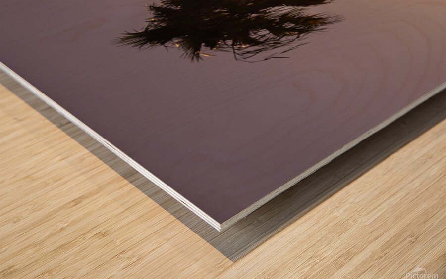 Sunset palms Wood print