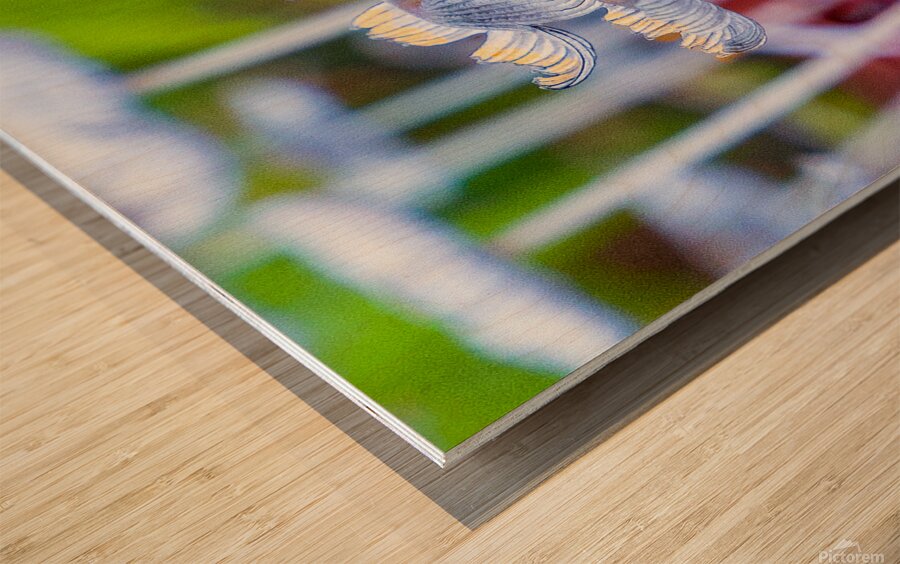 Mushroom tops Wood print