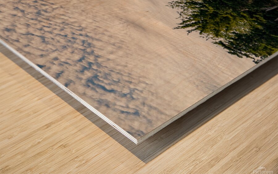 Grapevines Wood print