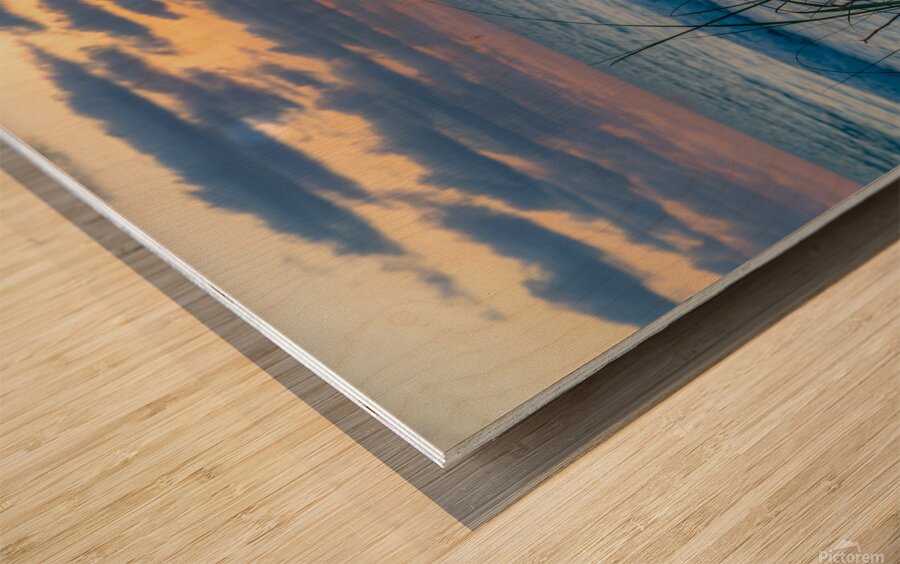 Grassy Sunrise Wood print