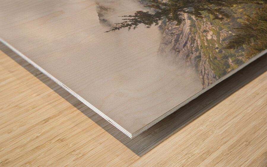 Through the Trees Wood print