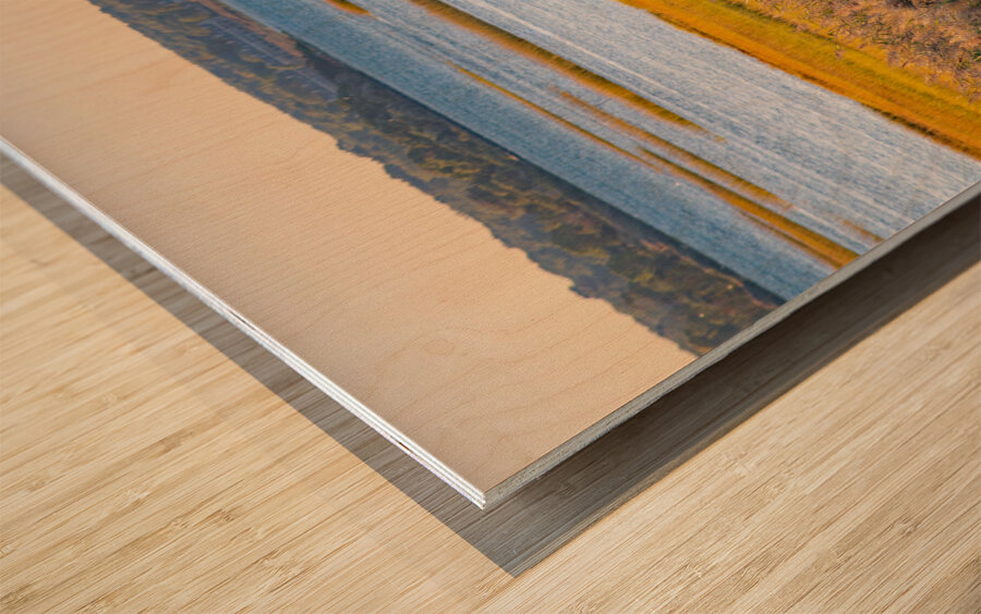 Calming bay Wood print