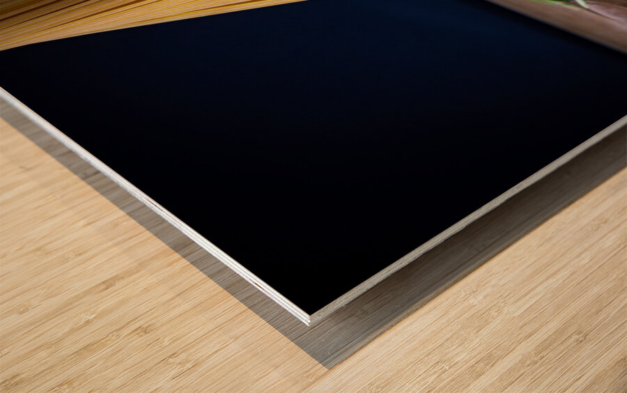 Pasta Twist  Wood print