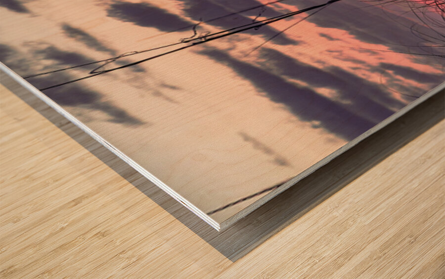 Morning Grass  Wood print