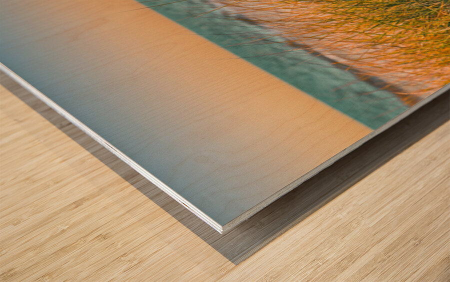 Sunrise Seagrass Impression sur bois