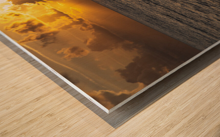 Golden Glow Wood print