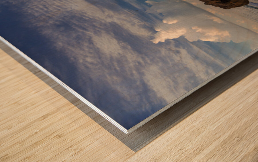 House of refuge  Wood print