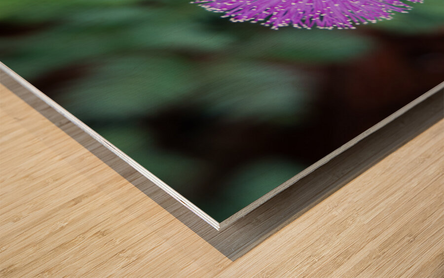 Purple Stars Wood print